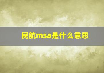 民航msa是什么意思