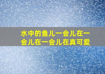 水中的鱼儿一会儿在一会儿在一会儿在真可爱