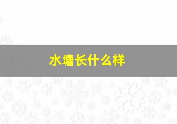 水塘长什么样