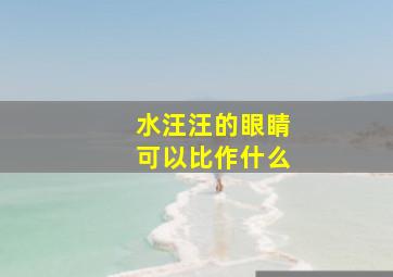 水汪汪的眼睛可以比作什么