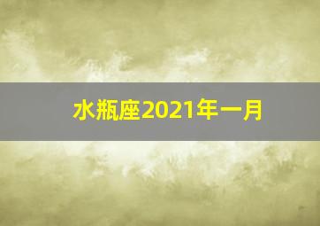 水瓶座2021年一月