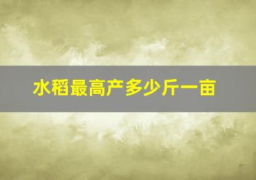 水稻最高产多少斤一亩