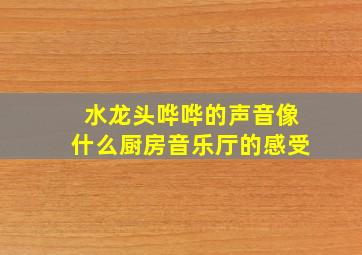 水龙头哗哗的声音像什么厨房音乐厅的感受