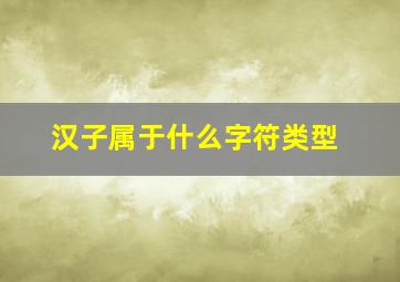 汉子属于什么字符类型