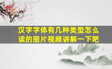 汉字字体有几种类型怎么读的图片视频讲解一下吧