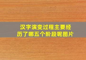 汉字演变过程主要经历了哪五个阶段呢图片