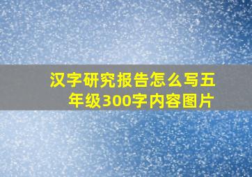 汉字研究报告怎么写五年级300字内容图片