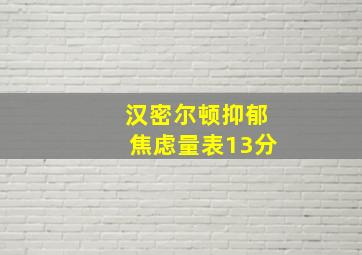 汉密尔顿抑郁焦虑量表13分