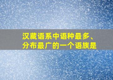 汉藏语系中语种最多、分布最广的一个语族是