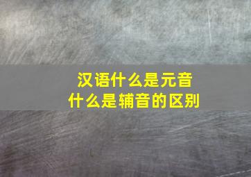 汉语什么是元音什么是辅音的区别