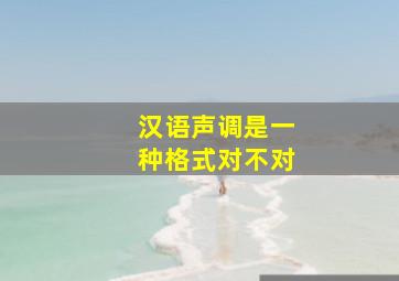 汉语声调是一种格式对不对