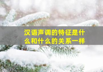 汉语声调的特征是什么和什么的关系一样