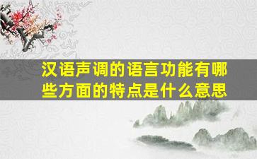 汉语声调的语言功能有哪些方面的特点是什么意思