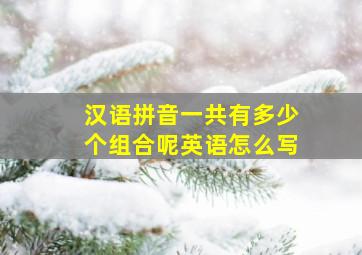 汉语拼音一共有多少个组合呢英语怎么写