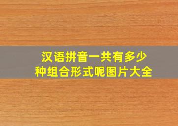 汉语拼音一共有多少种组合形式呢图片大全