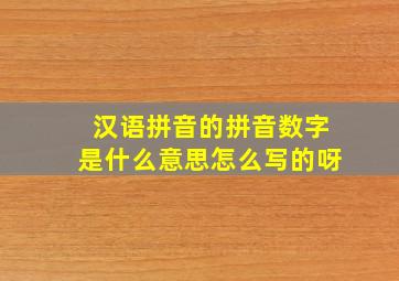 汉语拼音的拼音数字是什么意思怎么写的呀