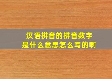 汉语拼音的拼音数字是什么意思怎么写的啊