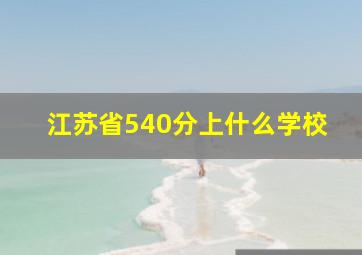 江苏省540分上什么学校