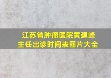 江苏省肿瘤医院黄建峰主任出诊时间表图片大全