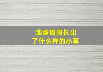 池塘周围长出了什么样的小草