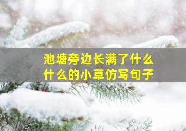 池塘旁边长满了什么什么的小草仿写句子