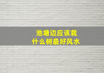 池塘边应该栽什么树最好风水