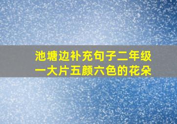 池塘边补充句子二年级一大片五颜六色的花朵