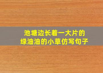 池塘边长着一大片的绿油油的小草仿写句子