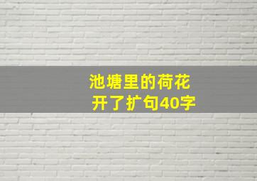 池塘里的荷花开了扩句40字