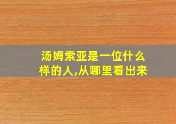 汤姆索亚是一位什么样的人,从哪里看出来