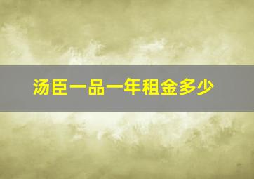 汤臣一品一年租金多少