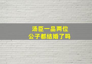 汤臣一品两位公子都结婚了吗