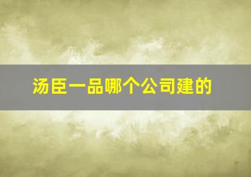 汤臣一品哪个公司建的