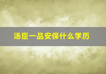 汤臣一品安保什么学历