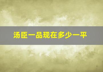 汤臣一品现在多少一平