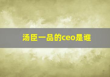 汤臣一品的ceo是谁