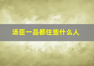 汤臣一品都住些什么人