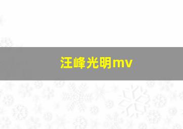 汪峰光明mv