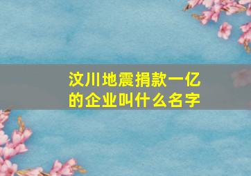 汶川地震捐款一亿的企业叫什么名字