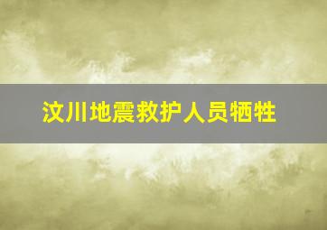 汶川地震救护人员牺牲