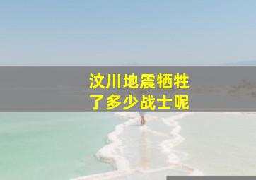 汶川地震牺牲了多少战士呢