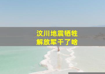 汶川地震牺牲解放军干了啥