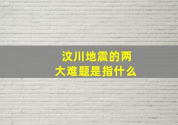 汶川地震的两大难题是指什么