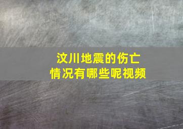 汶川地震的伤亡情况有哪些呢视频