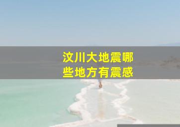 汶川大地震哪些地方有震感