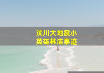 汶川大地震小英雄林浩事迹