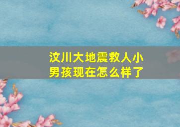 汶川大地震救人小男孩现在怎么样了