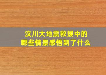 汶川大地震救援中的哪些情景感悟到了什么