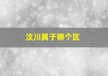 汶川属于哪个区