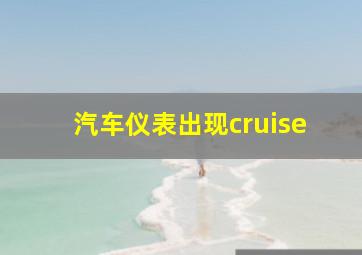 汽车仪表出现cruise